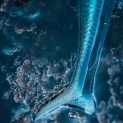 COMBO Leurres Souples Shad Lançon EELO 110 8gr AYU/BLEU -Camp - Vélo Kids Magasin combo leurres souples shad lancon eelo 110 8gr ayubleu 2