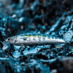 Poisson Nageur SAXTON 75 F BONITO Pêche Au Leurre En Mer 9 Poisson Nageur SAXTON 75 F BONITO Pêche Au Leurre En Mer -Camp - Vélo Kids Magasin poisson nageur saxton 75 f bonito peche au leurre en mer 4